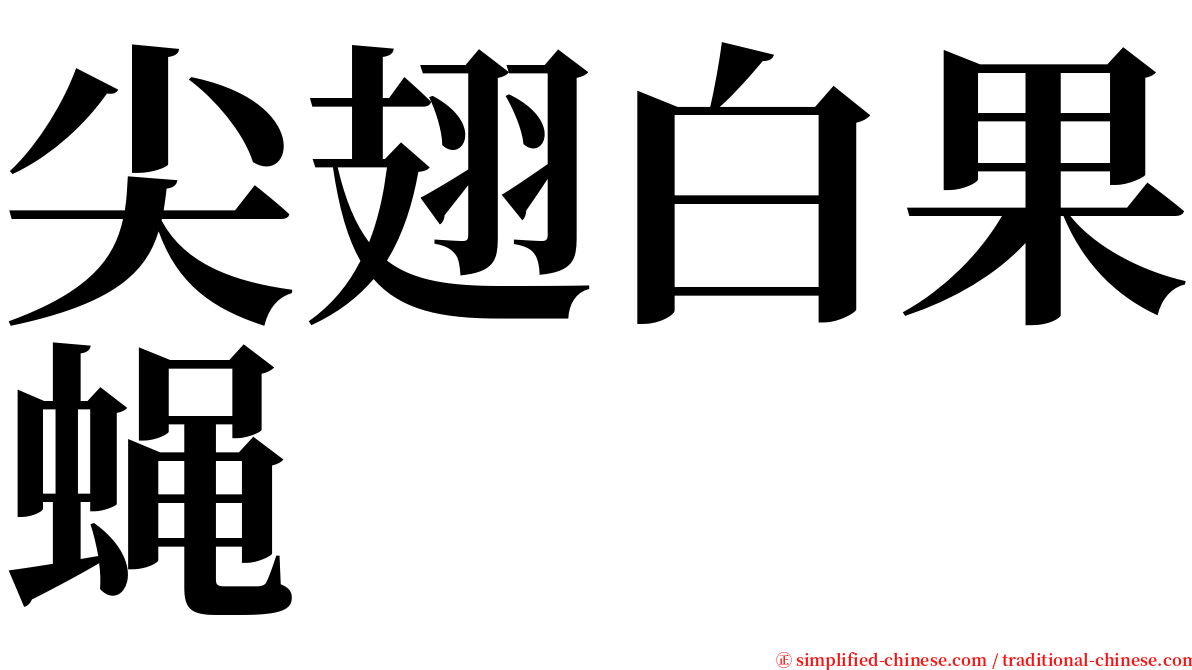 尖翅白果蝇 serif font