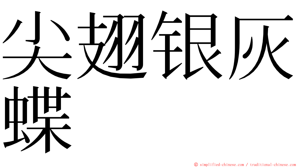 尖翅银灰蝶 ming font