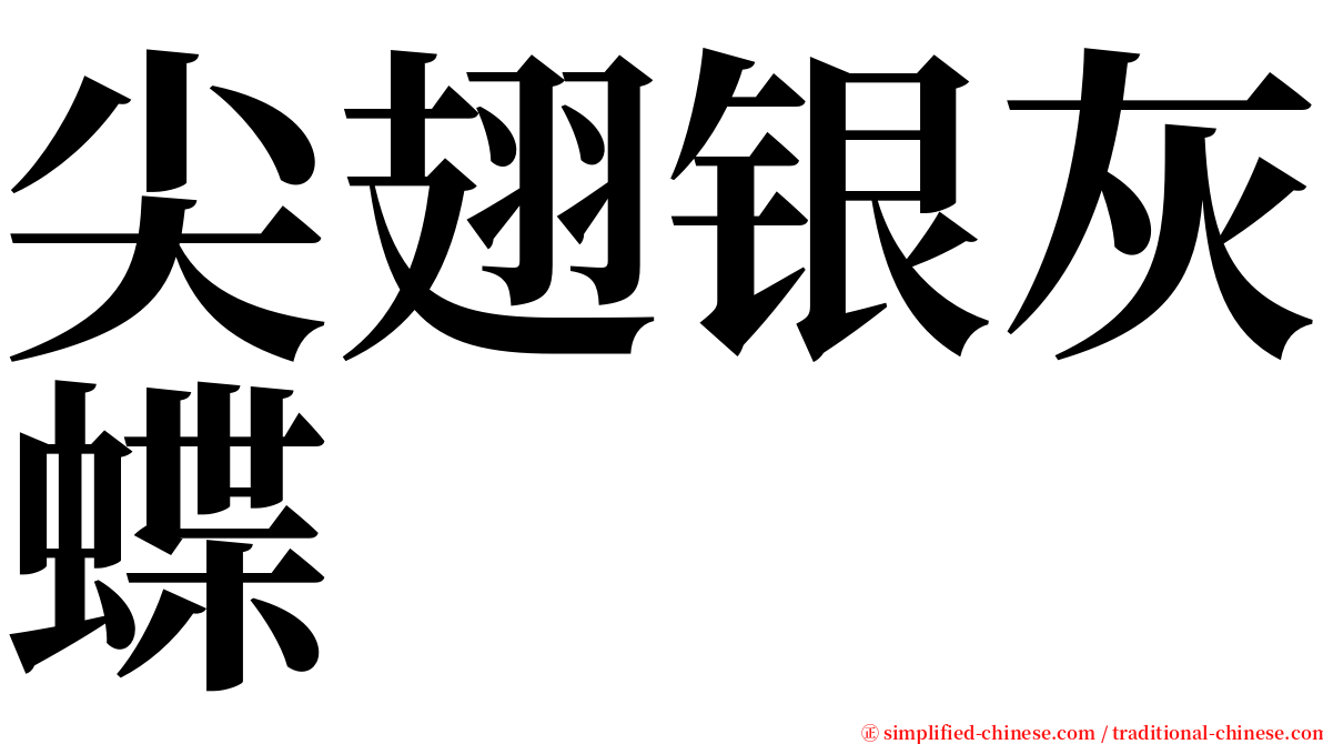 尖翅银灰蝶 serif font