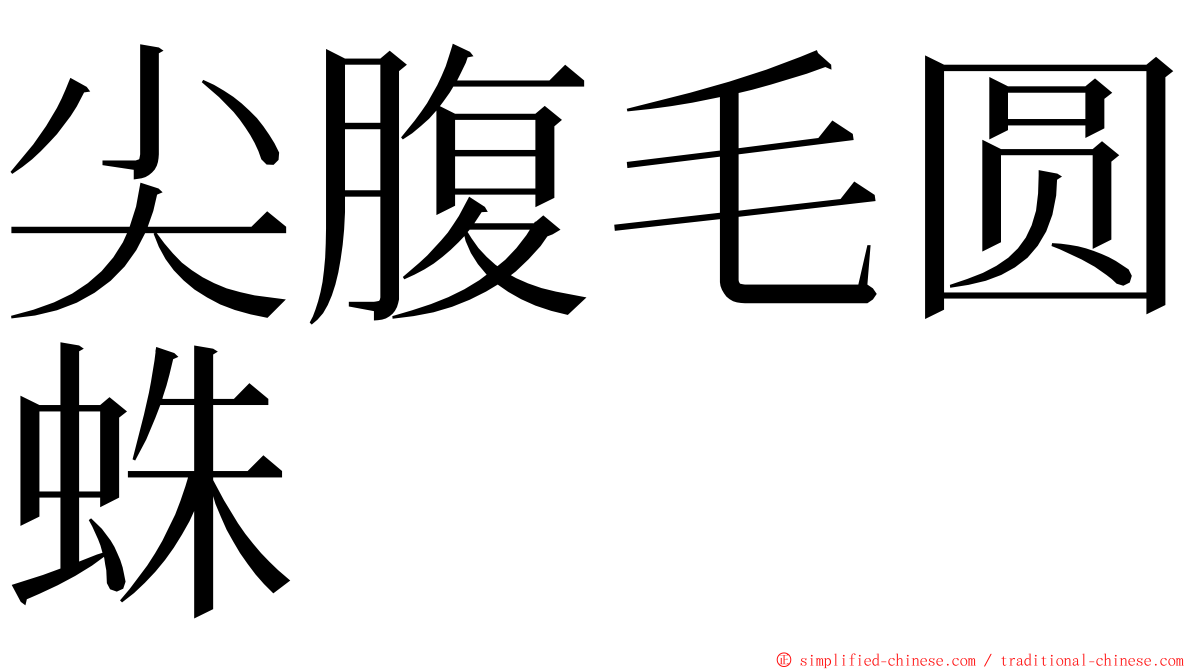 尖腹毛圆蛛 ming font