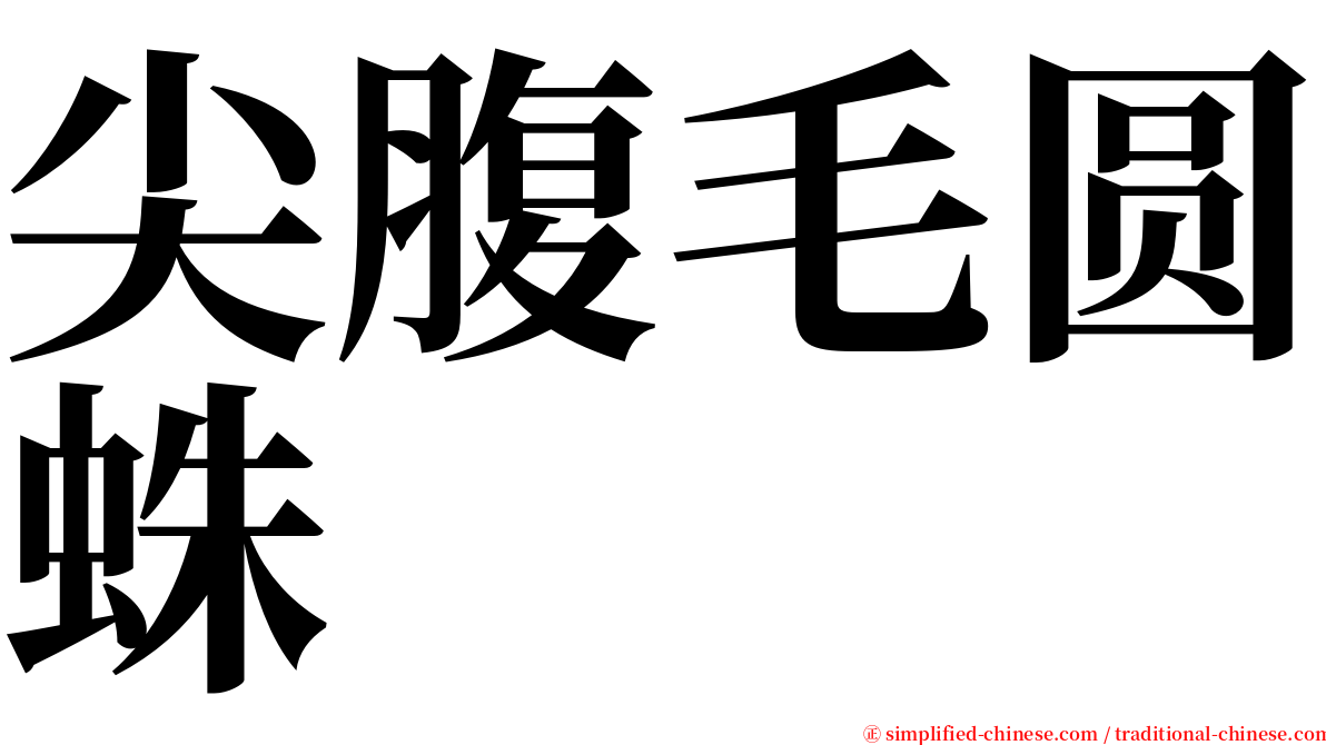 尖腹毛圆蛛 serif font