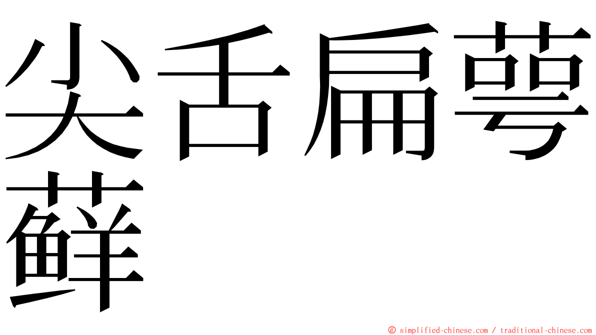 尖舌扁萼藓 ming font