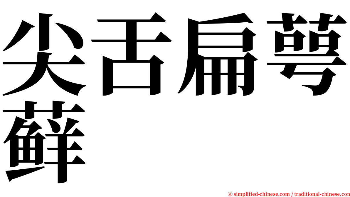 尖舌扁萼藓 serif font