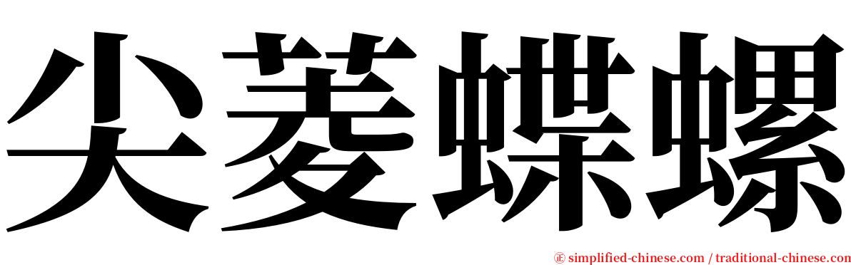 尖菱蝶螺 serif font