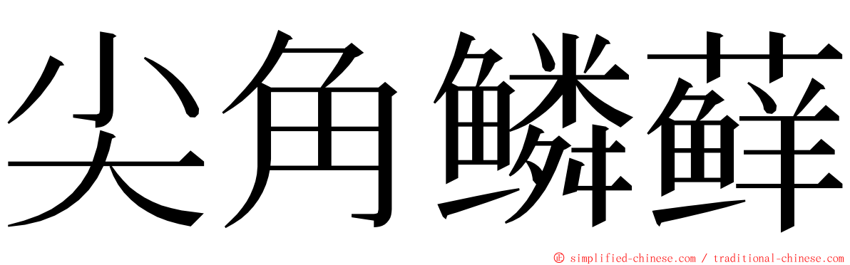 尖角鳞藓 ming font