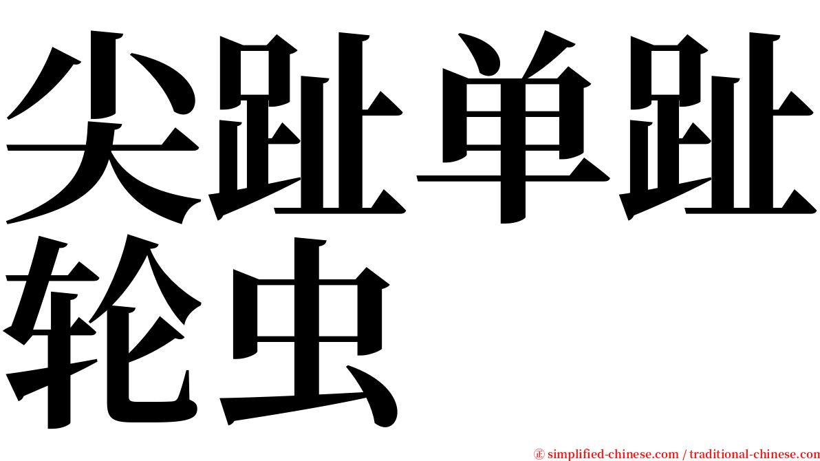 尖趾单趾轮虫 serif font