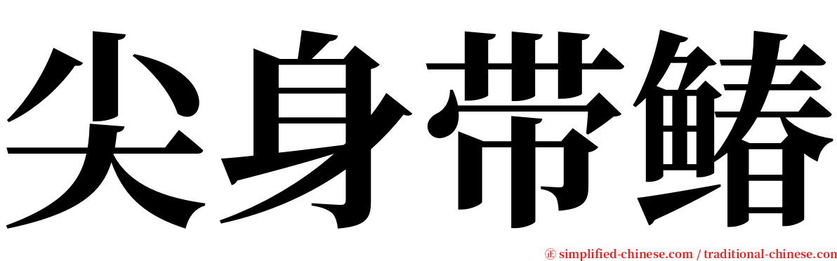 尖身带䲠 serif font