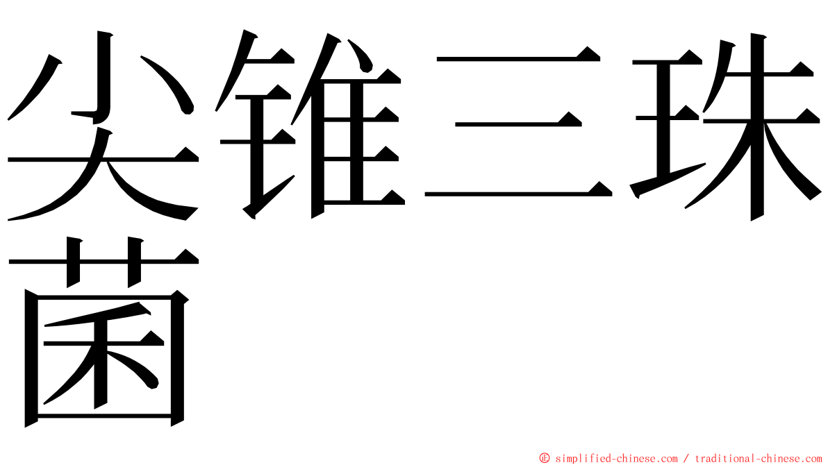 尖锥三珠菌 ming font