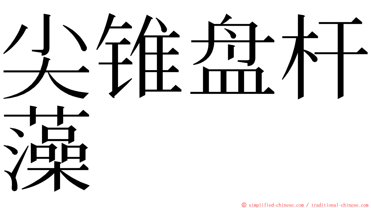 尖锥盘杆藻 ming font