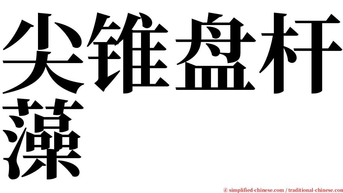 尖锥盘杆藻 serif font