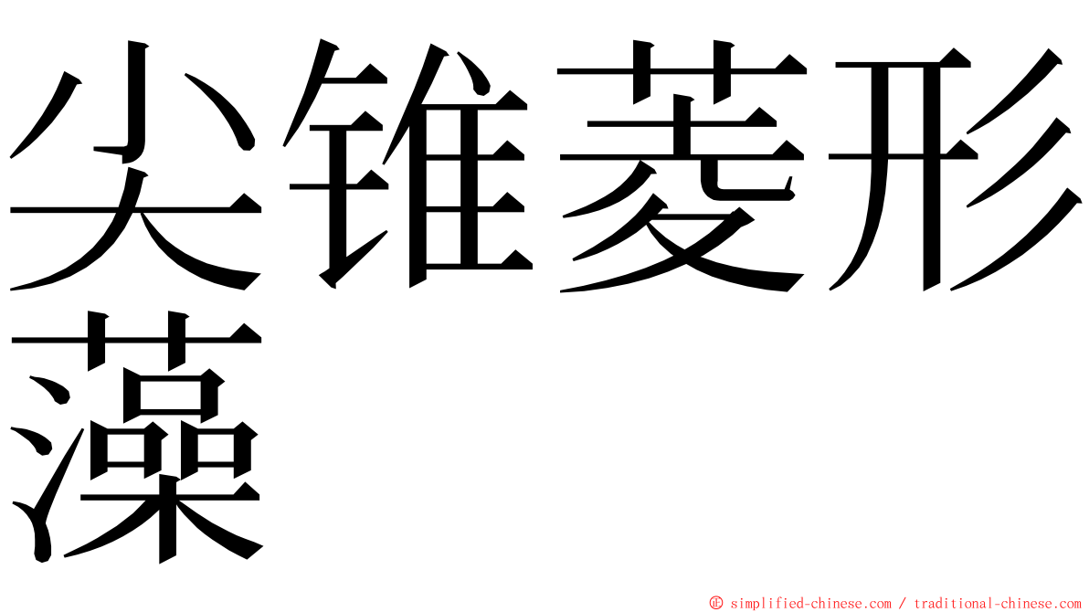 尖锥菱形藻 ming font