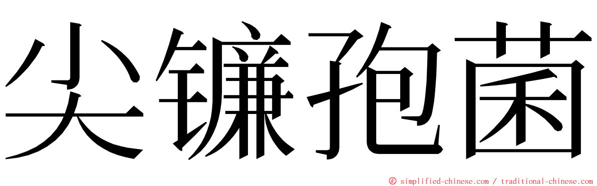 尖镰孢菌 ming font