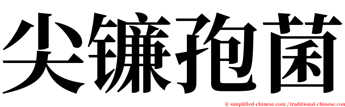 尖镰孢菌 serif font