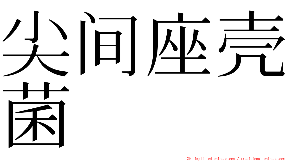 尖间座壳菌 ming font