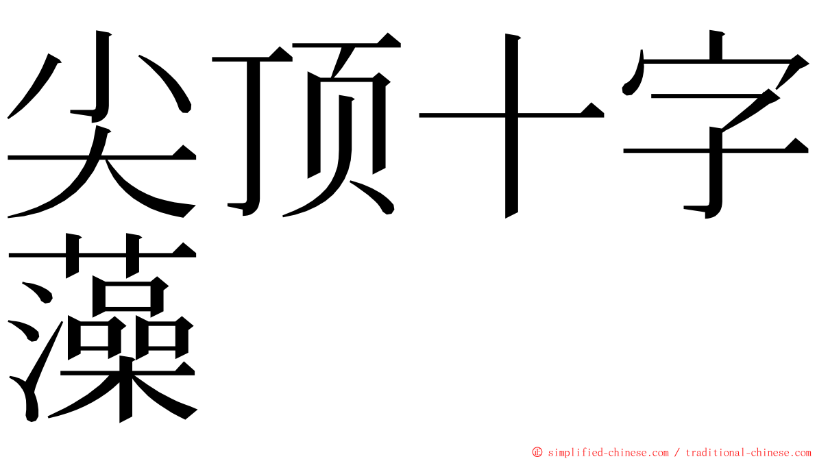 尖顶十字藻 ming font