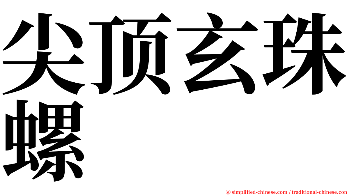 尖顶玄珠螺 serif font