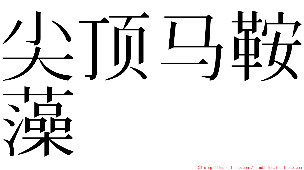 尖顶马鞍藻 ming font