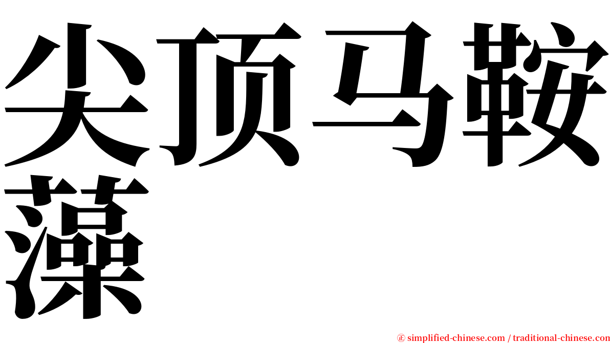 尖顶马鞍藻 serif font