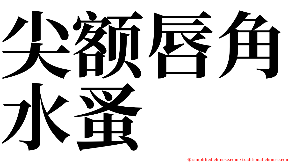 尖额唇角水蚤 serif font