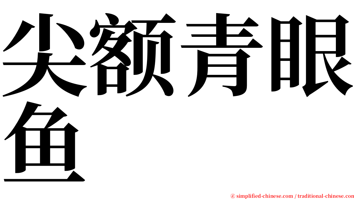 尖额青眼鱼 serif font