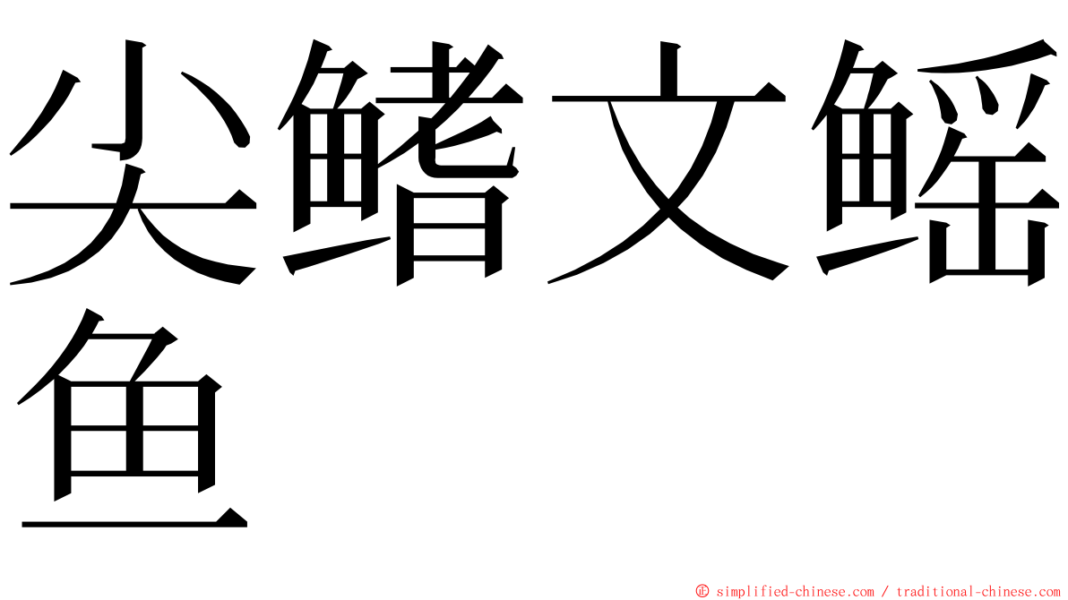 尖鳍文鳐鱼 ming font