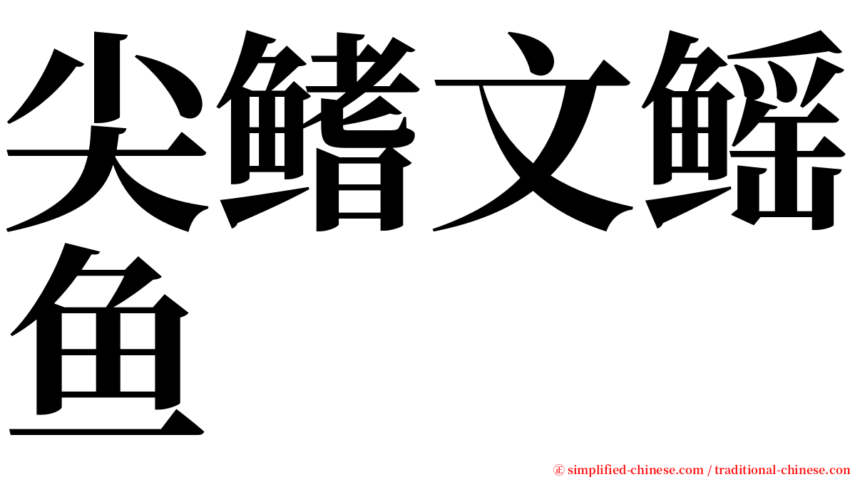 尖鳍文鳐鱼 serif font