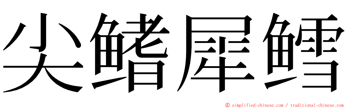 尖鳍犀鳕 ming font