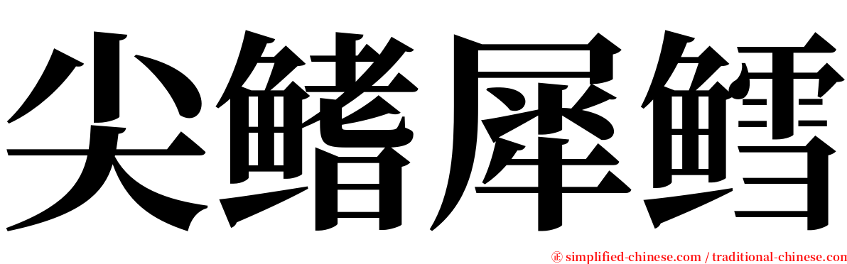 尖鳍犀鳕 serif font