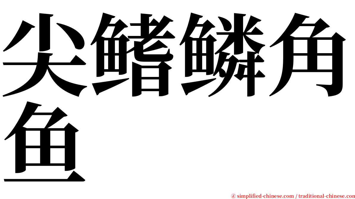 尖鳍鳞角鱼 serif font