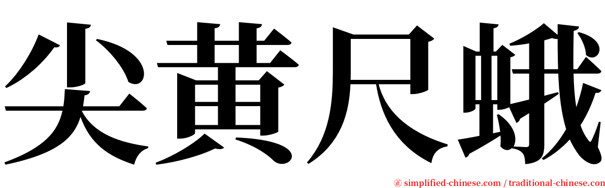 尖黄尺蛾 serif font