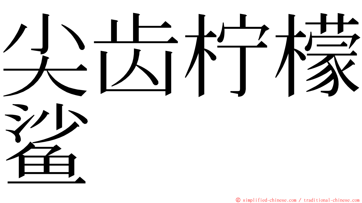 尖齿柠檬鲨 ming font