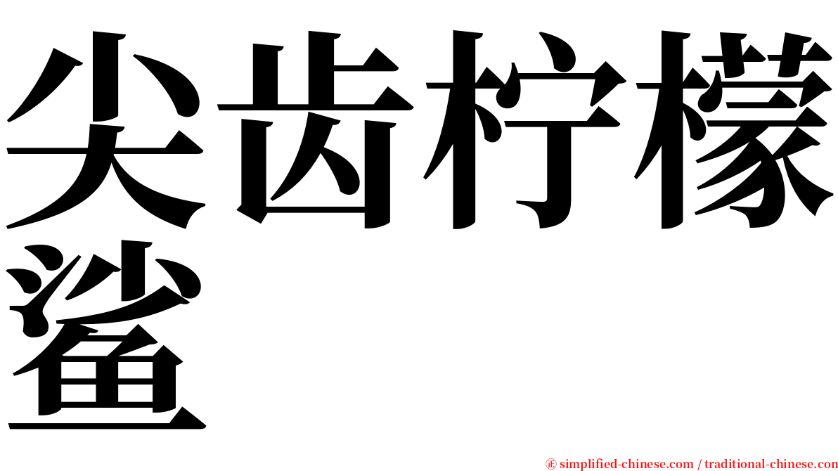 尖齿柠檬鲨 serif font