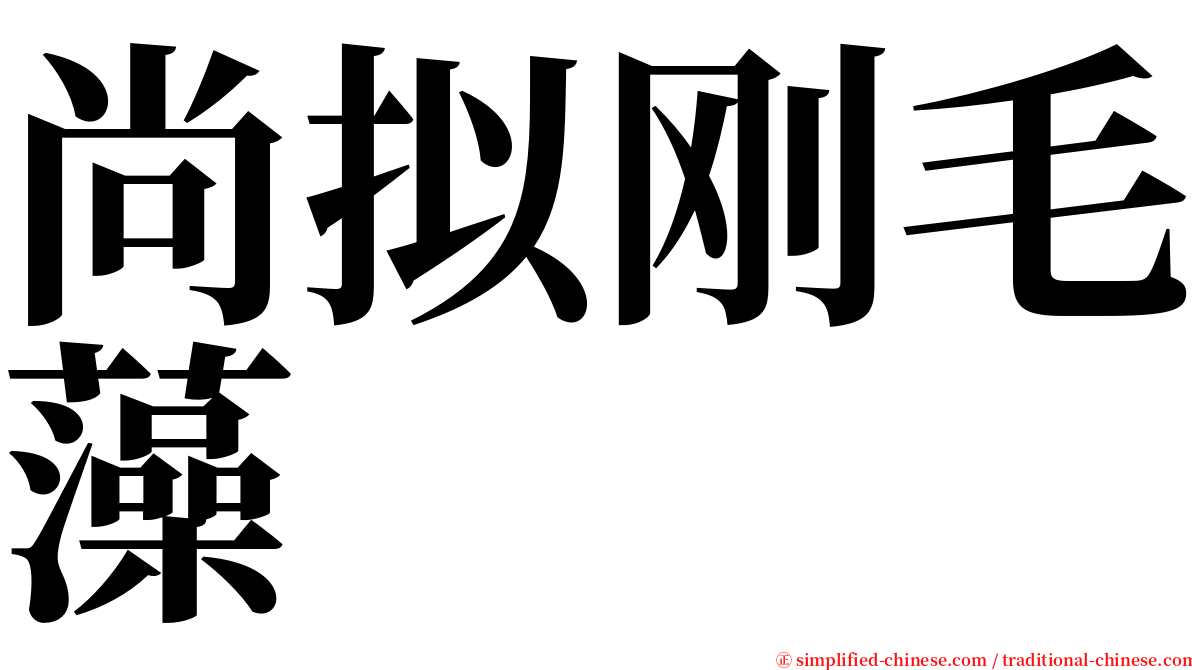 尚拟刚毛藻 serif font