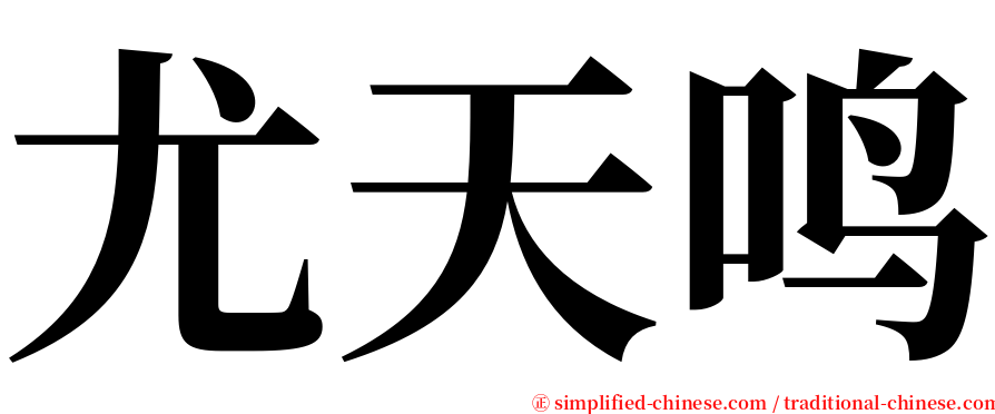 尤天鸣 serif font