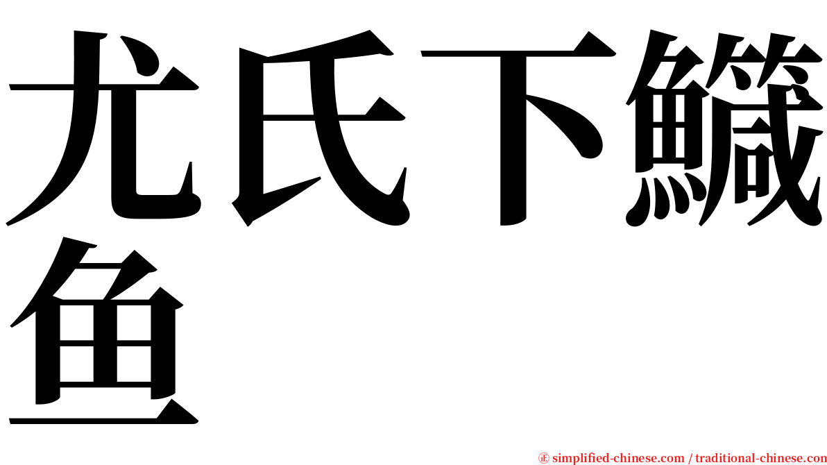 尤氏下鱵鱼 serif font
