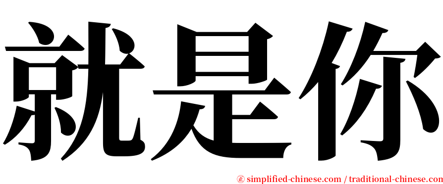 就是你 serif font