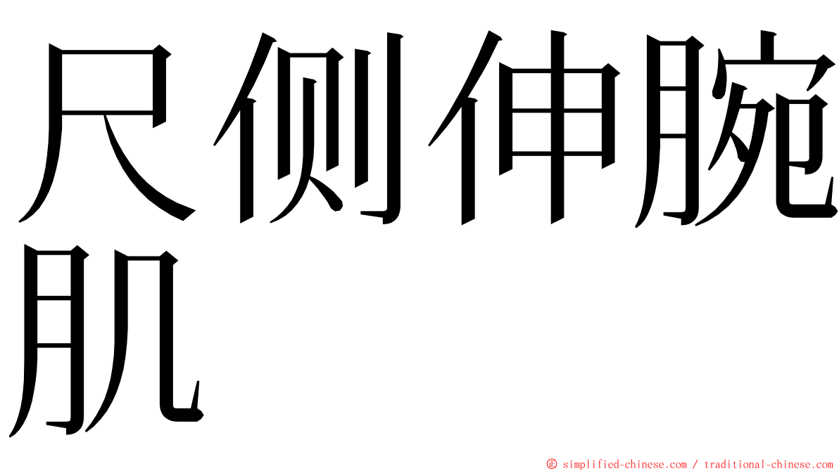 尺侧伸腕肌 ming font