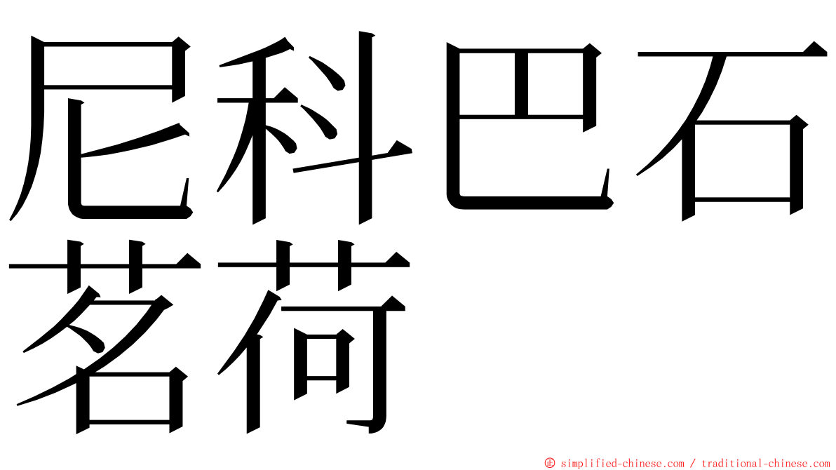 尼科巴石茗荷 ming font