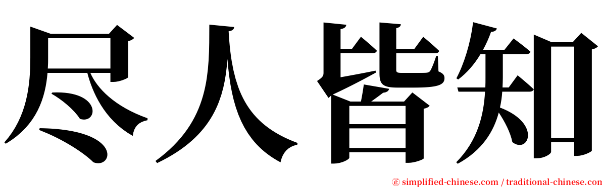 尽人皆知 serif font