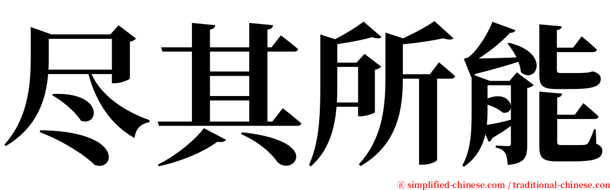 尽其所能 serif font