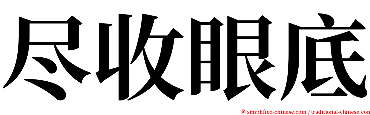 尽收眼底 serif font