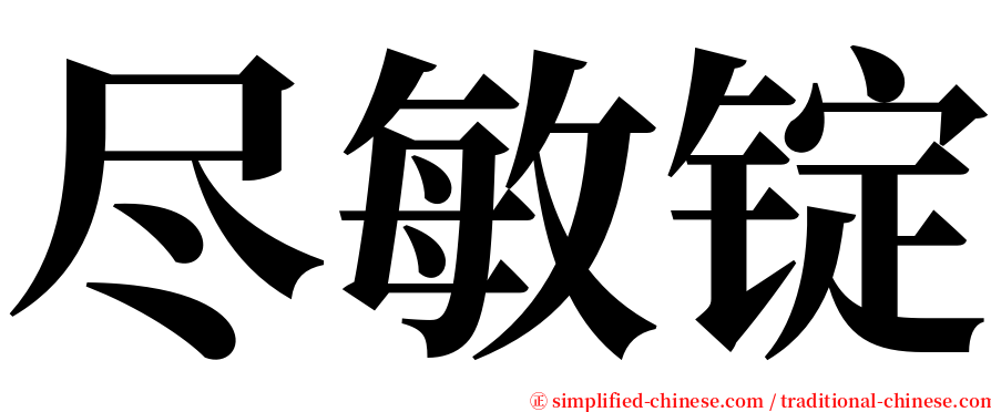 尽敏锭 serif font