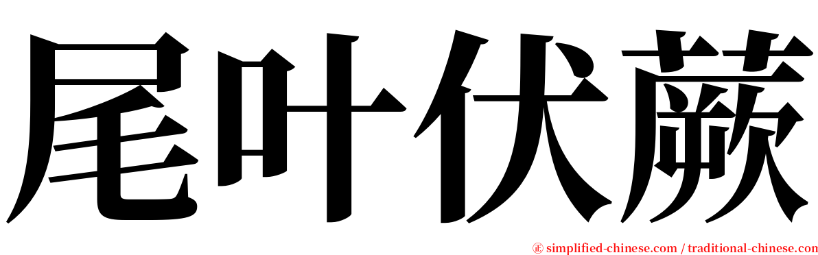 尾叶伏蕨 serif font