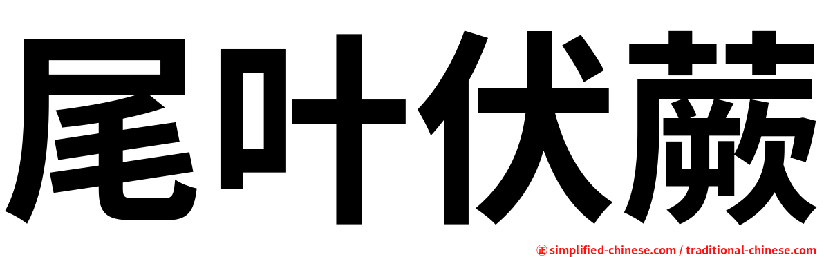 尾叶伏蕨