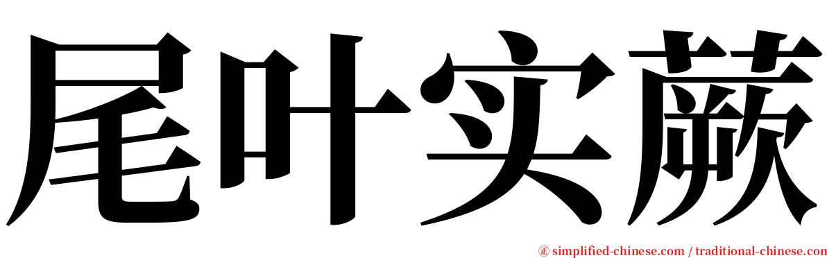 尾叶实蕨 serif font