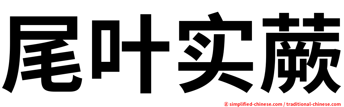 尾叶实蕨