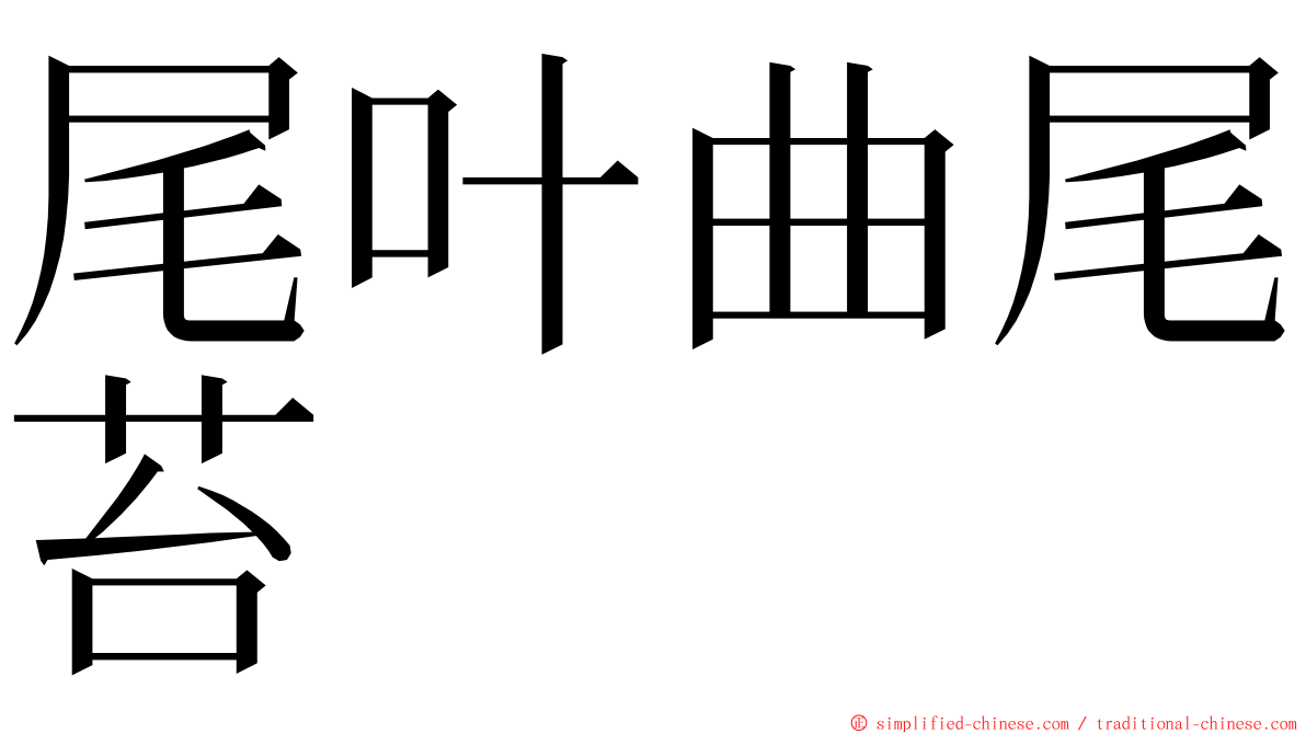 尾叶曲尾苔 ming font