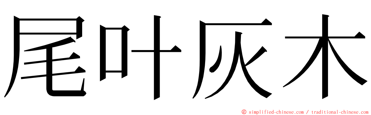 尾叶灰木 ming font