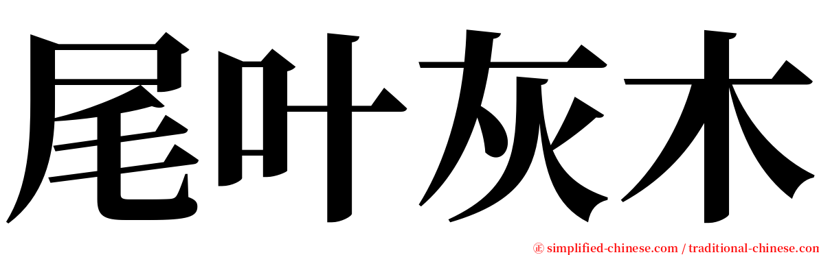 尾叶灰木 serif font