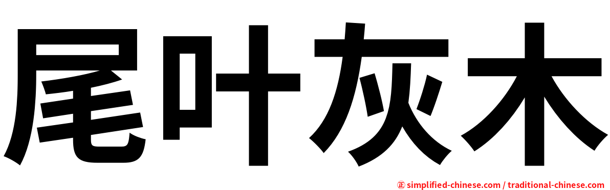 尾叶灰木